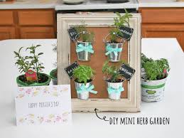 Many craft and hobby stores carry them, and you can often find little birdhouses. Mother S Day Diy Mini Herb Garden