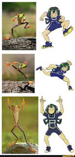 Bokunoheroacademia Ifunny My Hero My Hero Academia Tsuyu Boku No Hero Academia