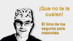 Que es el page rank de una web?