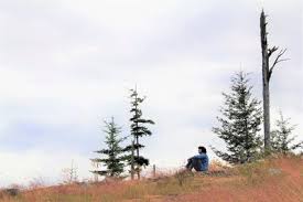 The trail is good for all skill levels and is primarily used for hiking. Guemes Mountain Trail Hiking Trail Anacortes Washington