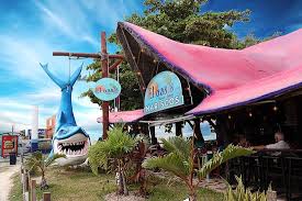 Maybe you would like to learn more about one of these? The Best Fish Taco In Playa Del Carmen Updated August 2021 Tripadvisor