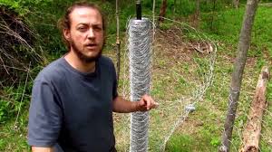 Chicken wire could work fine as a fence for a daytime yard, where you can keep a watchful eye on. Diy Low Cost Chicken Wire Fence With Home Made Fence Posts For Garden Youtube