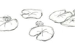 Craftsy Com Express Your Creativity In 2020 Lily Pad Drawing Water Lily Drawing Lily Pads