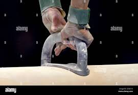 Bago horse hi-res stock photography and images