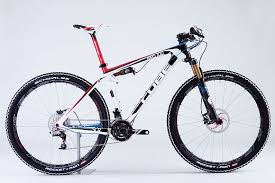 Cube Stereo Ams 100 Shpc 29 Und Elite Shpc 29 Neue Mountainbikes Fur 2013 All Terrain Bicycle Off Road Cycling Bike Share