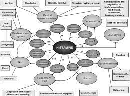 Už nikdy nezmeškáte naše zvýhodněné nabídky a akce. Mast Cell Activation Syndrome Mcas Histamine Going Crazy Ahead To Wellness