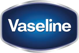 Αρχείο:Vaseline new logo.png - Βικιπαίδεια