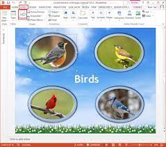 5 Easy Steps To Create Flashcards In Powerpoint