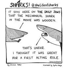 For More Of These Br For More Of These Brilliant Comic Strips Visit The Real Life Of Sharks Page On Tumblr Sharks Funny Animals A Funny Comics Shark Funny