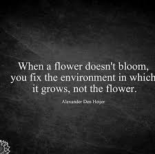 580 Motivational Inspirational Quotes Life To Succeed Inspirational Quotes Motivation Words Inspirational Quotes