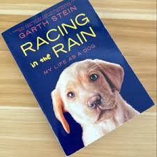 Racing In The Rain - My Life As a Dog by Garth Stein, Paperback | Pangobooks