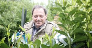 Eine lorbeerhecke mit pflanzen des echten lorbeers ist nur bedingt winterhart. Kirschlorbeer Schneiden Wann Und Wie Wird S Gemacht Mein Schoner Garten