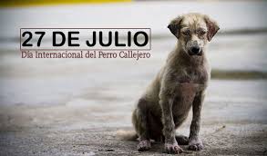 This is dia del perro by bigalan14@hotmail.com on vimeo, the home for high quality videos and the people who love them. Hoy Se Celebra El Dia Internacional Del Perro Callejero Orgullo Gualeyo