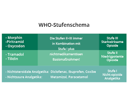 Postoperative Schmerzmedikamente Ogam Orthopadie