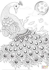 Peacock is one of the most exotic and spectacular birds in the world. Peacock Coloring Pages For Adults Coloring Home