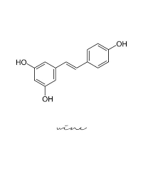 Valentinstag Nutella Tattoo Valentinstag Ideen Chemie Poster Geschenke Fur Weinliebhaber Wissenschaftsposter