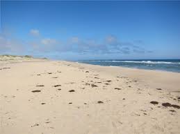 Head of the meadow beach. Head Of The Meadow Truro Cape Cod Weneedavacation Com