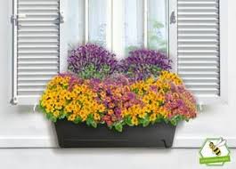 They have been selling on the amazon.de marketplace since 2017. Pin Auf Gartenideen