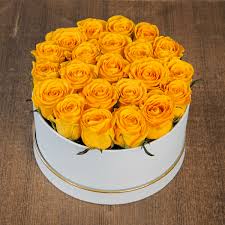 We did not find results for: Yellow Rose In White Box Online Flower Delivery In India Juneflowers Com
