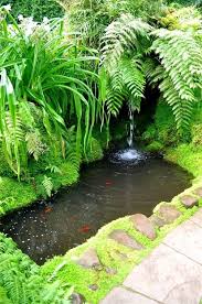Maybe you would like to learn more about one of these? Pin On Organic Gardening