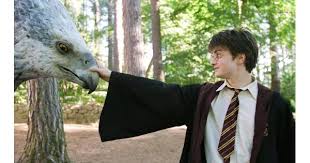 Harry potter regresa por última vez, y esta vez lo hace para luchar contra voldermort en la batalla de hogwarts, junto con sus fieles amigos hermione y ron. Un Harry Potter Para Cada Edad Common Sense Media