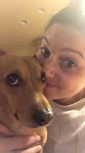 Does anyone feed their dogs Strive dog food?