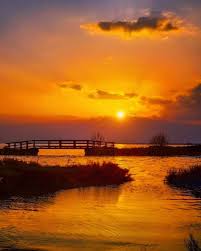 Bildergebnis für FOTOGRAFICO OSSERVATORIO