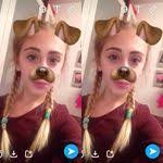 Sophia Hallas's Instagram, Twitter & Facebook