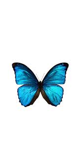 Pin By Isamar Batista On Wallpapers Butterfly Wallpaper Iphone Butterfly Wallpaper Disney Phone Wallpaper