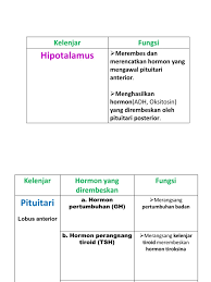 We did not find results for: Pjm Sistem Endokrin