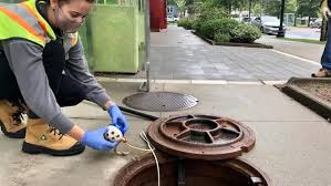 The Importance of Maintaining Wastewater Surveillance: Insights from Scientists
