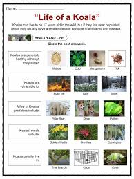 Koala Facts Worksheets Information For Kids Koala Nanny Activities School Posters