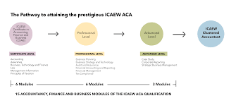 Job opportunities for accounting,finance in south africa. Aca Training In Russia Find Your Route Icaew Careers