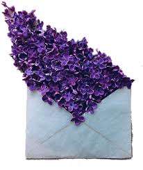 Download 4k wallpapers of best flowers, roses, tulips, lotus, lily, poppy, dahlia, cherry blossom for desktop & mobile phones in high quality hd, 4k, 5k resolutions Download Hd Dark Purple Flowers Aesthetic Transparent Png Image Nicepng Com