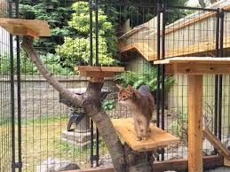Our diy catio cat condo; Cuckoo4design Diy Cat Enclosure Outdoor Cat Enclosure Cat Cages
