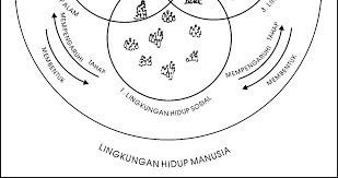 Buku the developing human (makna: Http Repository Ut Ac Id 4444 1 Biol4417 M1 Pdf