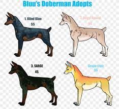 The pitbull has lately gotten a bad rap as a breed. Dog Breed Dobermann Rottweiler Great Dane English Mastiff Png 932x856px Dog Breed Breed Carnivoran Dobermann Dog