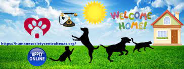6 18 20 Facebook Live With The Humane Society Of Central Texas I Love Larne Humane Society Texas Animals Animal Rescue