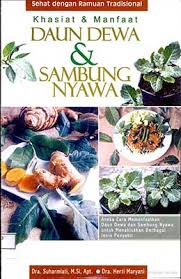 Daun sambung nyawa merupakan tanaman herbal yang memiliki banyak khasiat bagi tubuh manusia. Agromedia Khasiat Manfaat Daun Dewa Sambung Nyawa Agromedia
