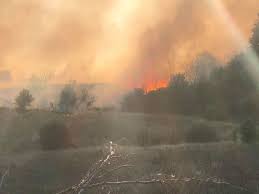 Φωτιά σε έκταση με ξερά χόρτα ξέσπασε πριν από λίγο στην περιοχή της νέας ραιδεστού θεσσαλονίκης, κοντά στον ιππικό όμιλο. Mdcpov2uj Zrqm