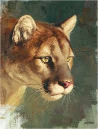 Grg Beecham Big Cats Art Wildlife Art Animal Paintings