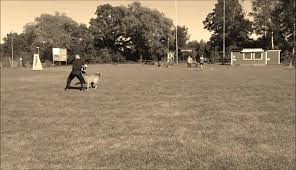 Eric av Staalhjerte (Crutt av...