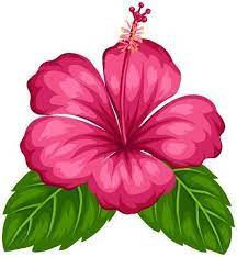 Hawaiian Aloha Tropical Loha Hawaiian Png Tropical 2020 Sanat Cicekler Kagit Cicek Tropik Cicekler