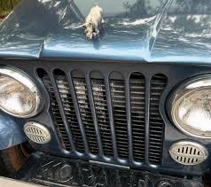 Image result for Autumn Brown 1993 SsangYong