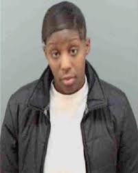 ᐅ Illinois Criminal Records 2009-2026