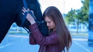 Im letzten moment kehrt mika (hanna binke) aus kanada zurück, denn nur mit vereinten kräften kann es mika und ari gelingen, ihren geliebten ostwind zu retten … Ostwind Der Grosse Orkan Constantin Film