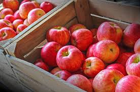 Hours may change under current circumstances Apple Orchards Visit Hastings Mn