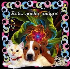 Pin On Buenas Noches