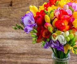 Due to covid 19 post is much!! Plant Bulbs And Sow Seeds Now For Spring Flowers Yates