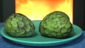 Cherimoya, daha önce de belirtildiği gibi, etkileyici bir askorbik asit konsantrasyonu içeriyor. Cherimoya Test Essen Youtube
